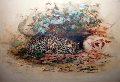 Ocelot by Joseph Wolf